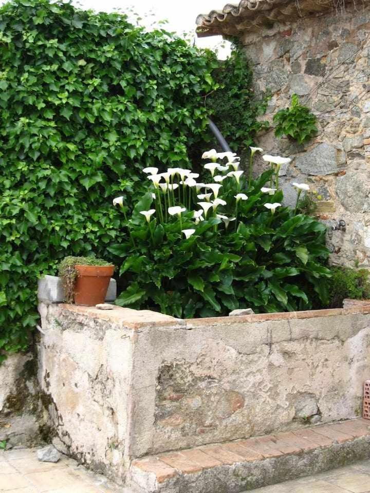 Ca Landreu Ecoturisme Villa Tiana Exterior photo